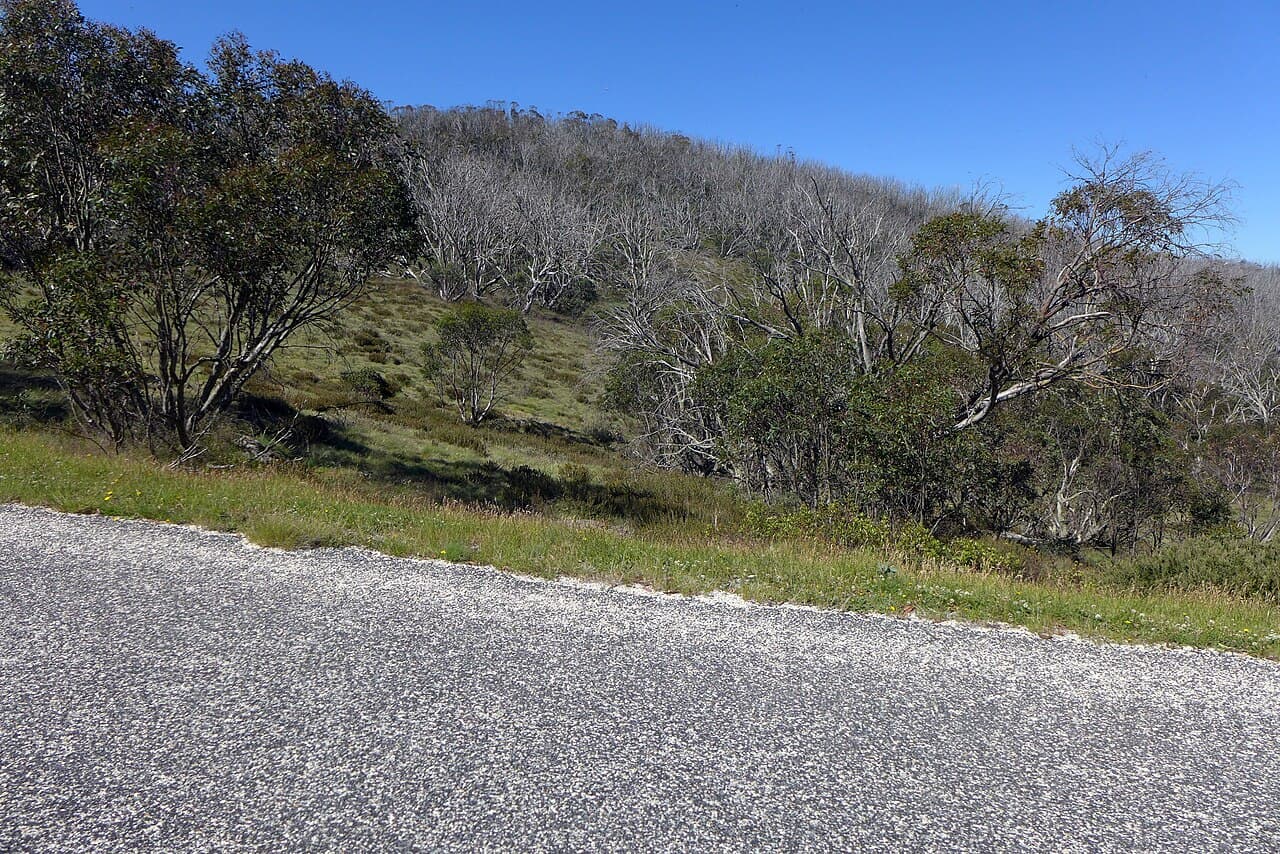 Bogong High Plains Road — beginners stay formed; rain means turn around